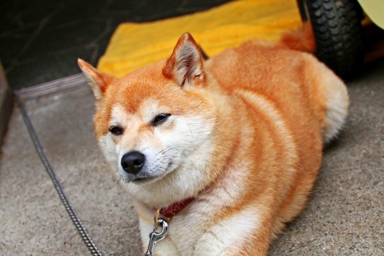 Hounkan Yoshino  Exterior foto